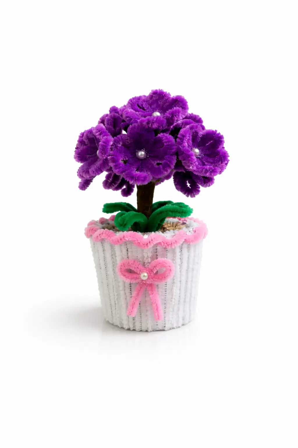 blossora purple primrose flower pot 1