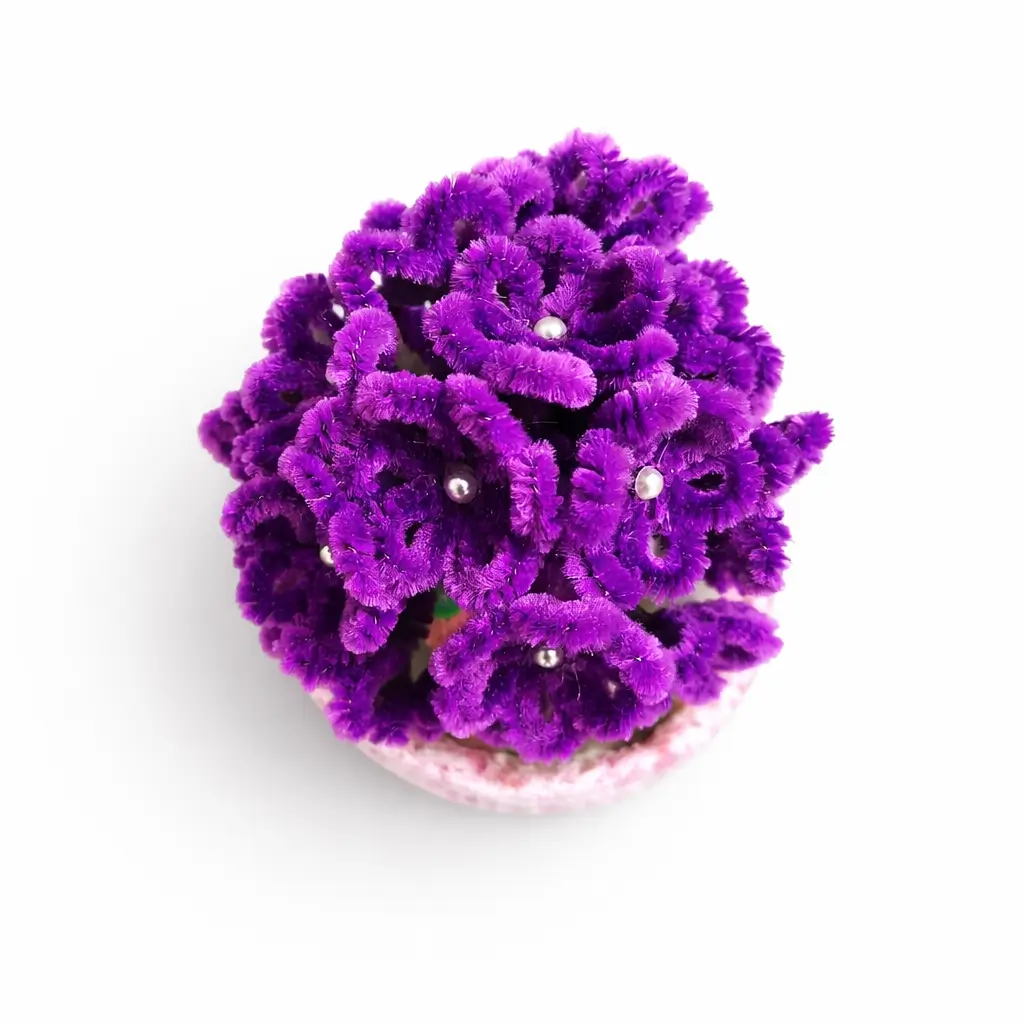 blossora purple primrose flower pot 3